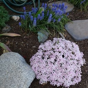 Meet your Posher, Dd